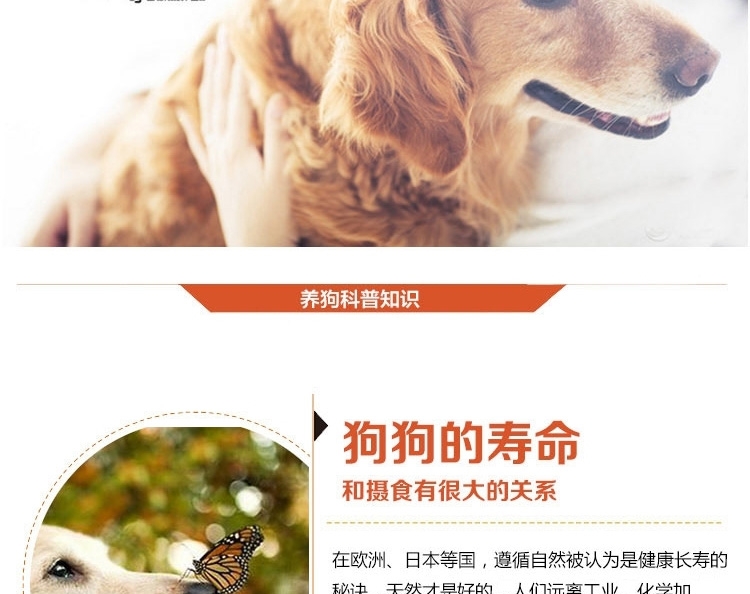 爱丽思IRIS 宠物零食 三连狗罐头鸡肉味100g*3罐 狗湿粮