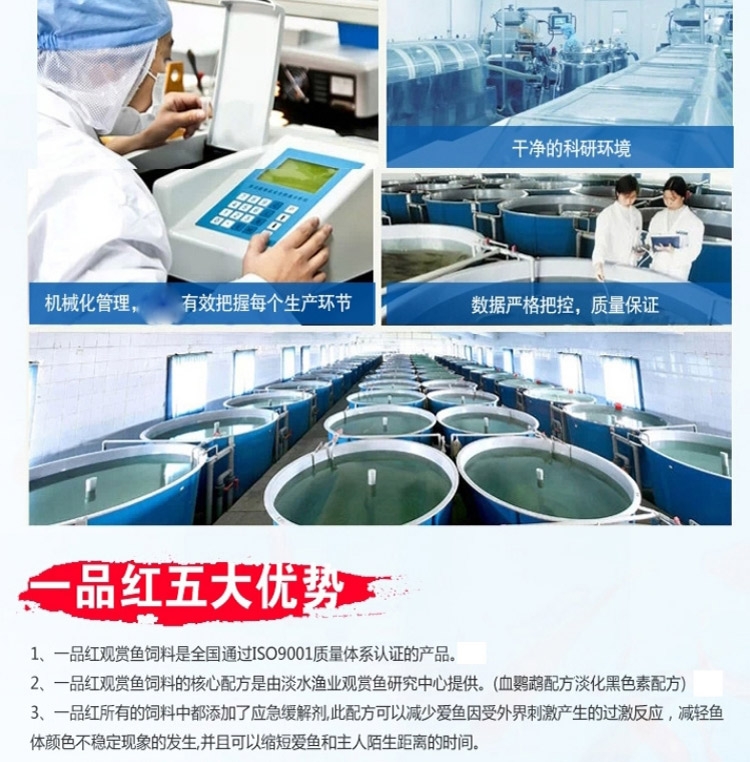 一品红 优品锦鲤扬色专用粮(黄)1kg