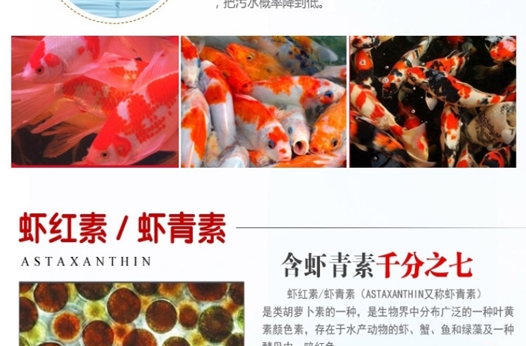 一品红 精致高蛋白薄片80g