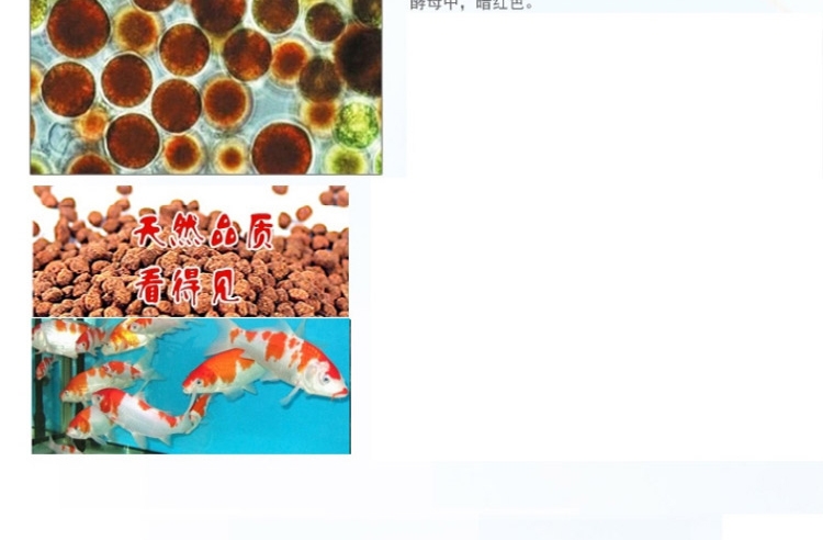 一品红 精致高蛋白薄片80g