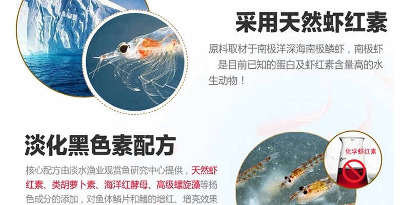 一品红血鹦鹉鱼食增红鱼饲料热带鱼发财鱼增色鱼食金鱼红鹦鹉鱼饲料