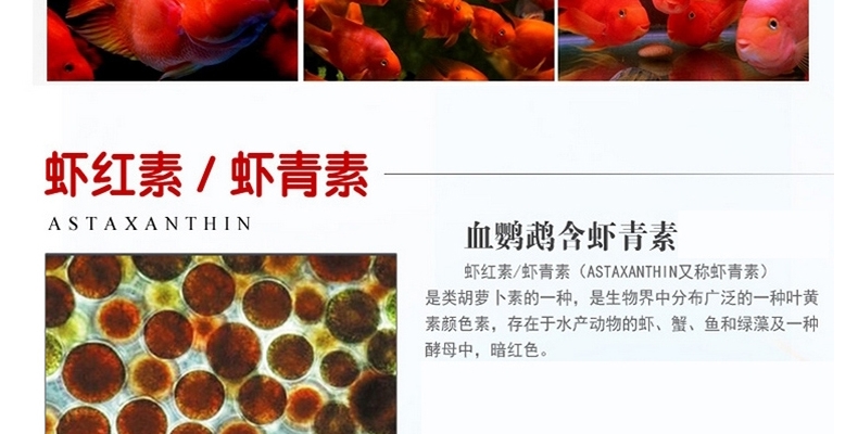 一品红血鹦鹉鱼食增红鱼饲料热带鱼发财鱼增色鱼食金鱼红鹦鹉鱼饲料