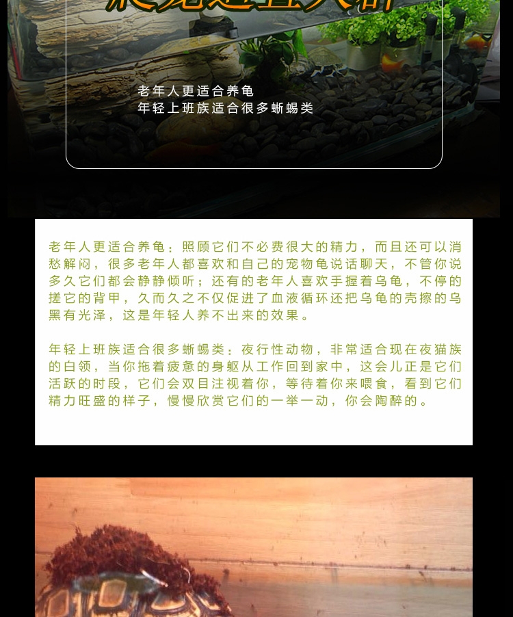 Reptile Structure 地表树保湿椰粉椰土垫材底材50g爬虫蜥蜴蜘蛛蜈蚣蝎子适用