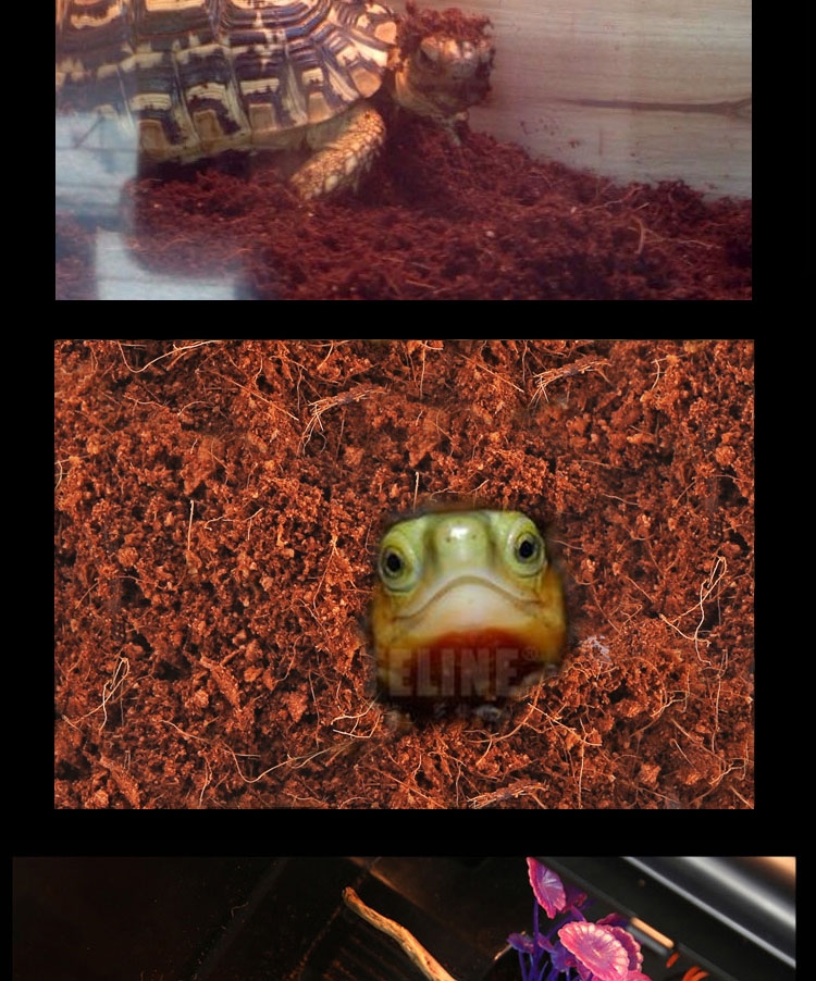 Reptile Structure 地表树保湿椰粉椰土垫材底材50g爬虫蜥蜴蜘蛛蜈蚣蝎子适用