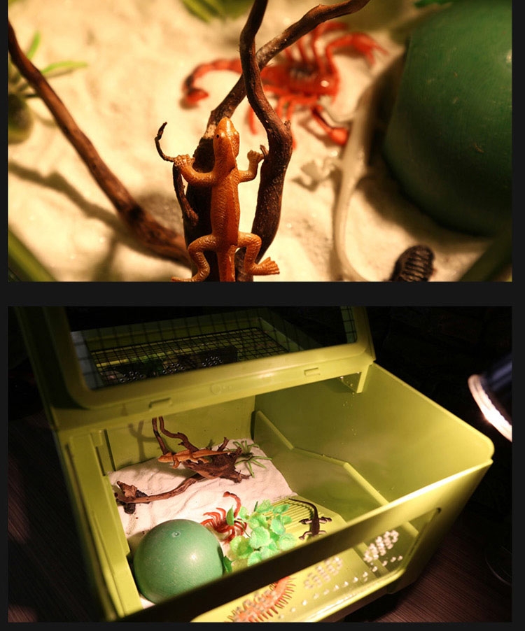 Reptile Structure 地表树保湿椰粉椰土垫材底材50g爬虫蜥蜴蜘蛛蜈蚣蝎子适用