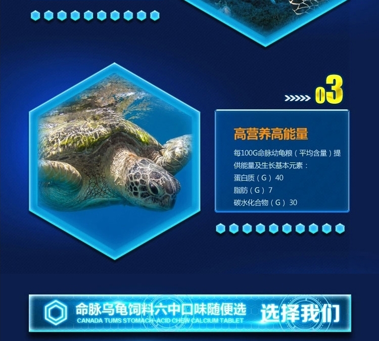 LIFELINE命脉 乌龟水龟粮食饲料 草龟宠物巴西龟幼龟开口粮
