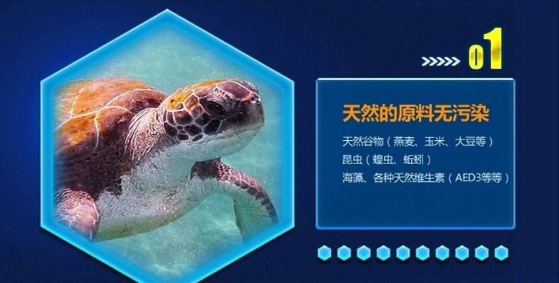 LIFELINE命脉 乌龟水龟粮食饲料 草龟宠物巴西龟幼龟开口粮
