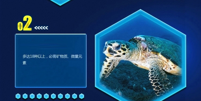 LIFELINE命脉 乌龟水龟粮食饲料 草龟宠物巴西龟幼龟开口粮