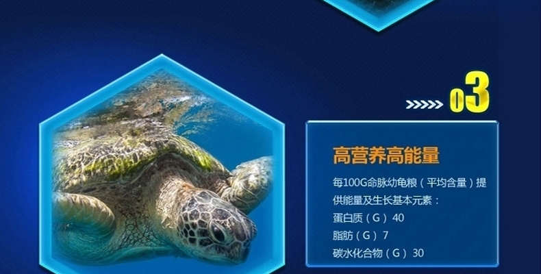 LIFELINE命脉 乌龟水龟粮食饲料 草龟宠物巴西龟幼龟开口粮