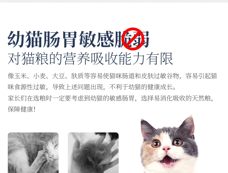 比瑞吉 幼猫及怀孕哺乳母猫粮天然粮2kg 全面营养补充