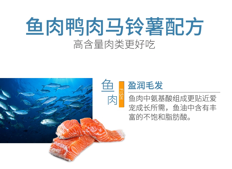 BOTH 益生菌配方离乳期奶糕全价幼猫粮 2kg S17