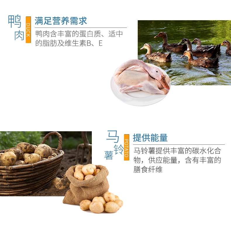 BOTH 益生菌配方离乳期奶糕全价幼猫粮 2kg S17