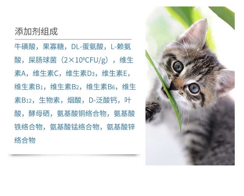 BOTH 益生菌配方离乳期奶糕全价幼猫粮 2kg S17