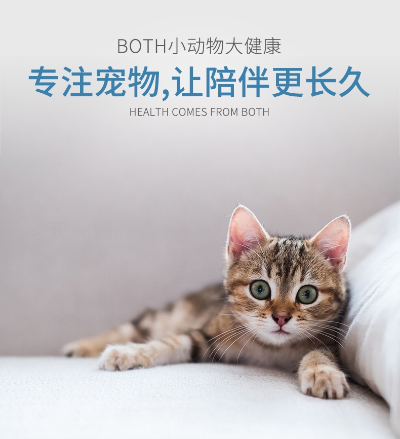 BOTH 益生菌配方离乳期奶糕全价幼猫粮 2kg S17