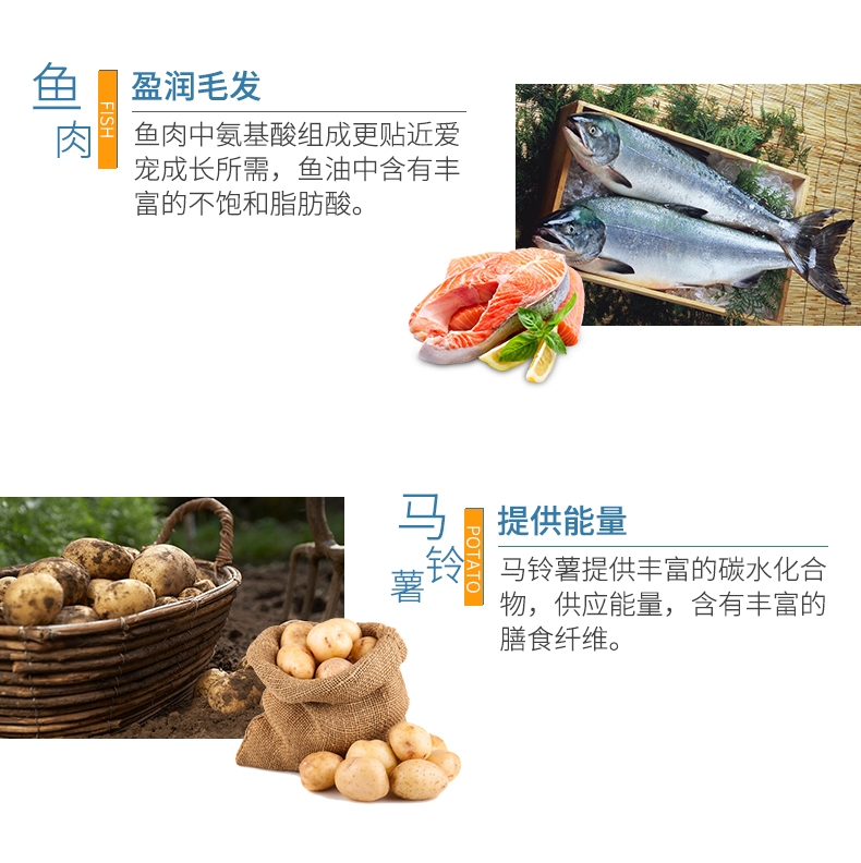 BOTH 益生菌配方全价全期犬粮 2kg*3 S12