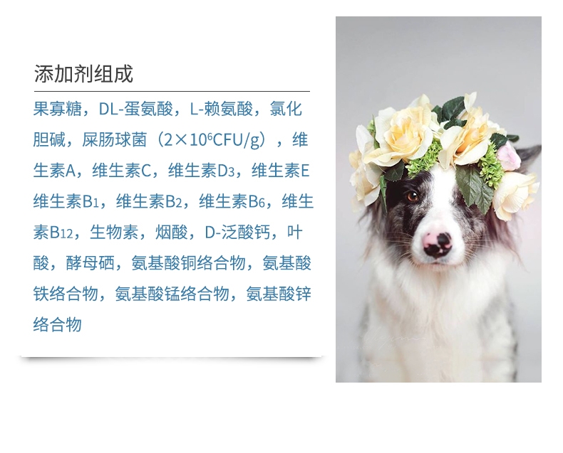 BOTH 益生菌配方全价全期犬粮 2kg*3 S12