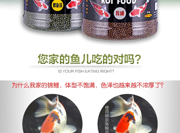 锦跃锦鲤饲料鱼食锦鲤鱼饲料色扬螺旋藻金鱼饲料金鱼鱼食锦鲤鱼食
