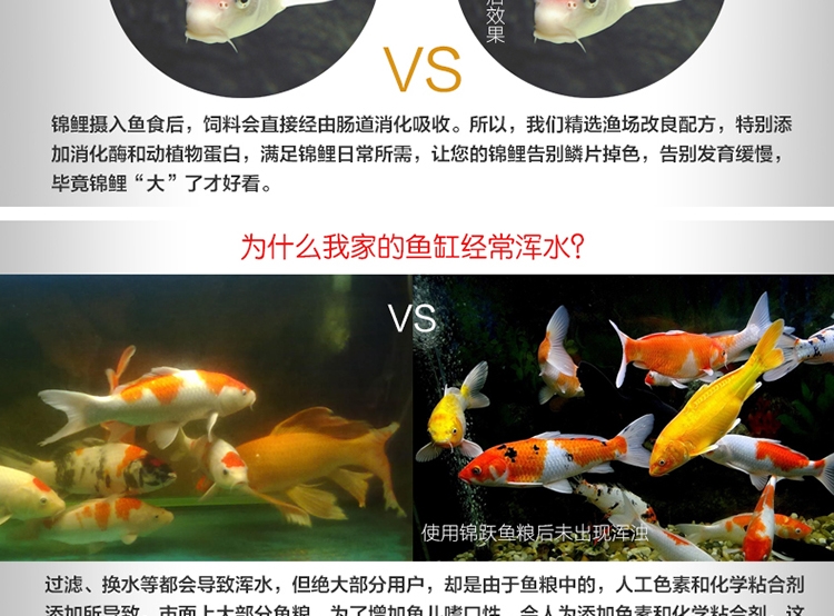 锦跃锦鲤饲料鱼食锦鲤鱼饲料色扬螺旋藻金鱼饲料金鱼鱼食锦鲤鱼食