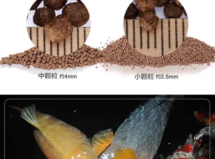 锦跃锦鲤饲料鱼食锦鲤鱼饲料色扬螺旋藻金鱼饲料金鱼鱼食锦鲤鱼食