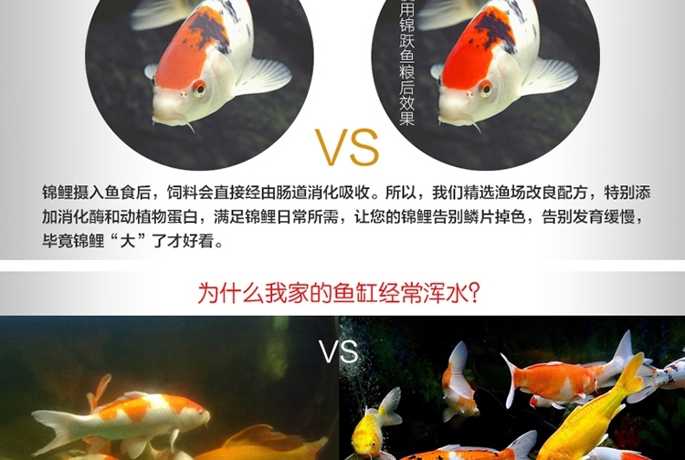 锦跃锦鲤饲料鱼食锦鲤鱼饲料色扬螺旋藻金鱼饲料金鱼鱼食锦鲤鱼食