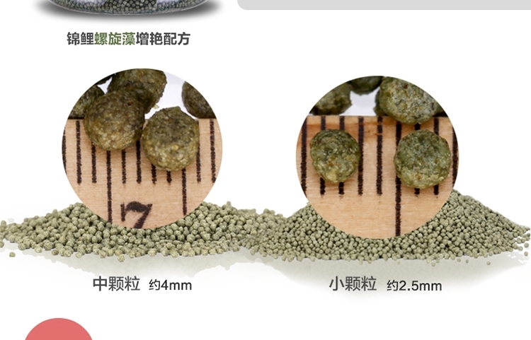 锦跃锦鲤饲料鱼食锦鲤鱼饲料色扬螺旋藻金鱼饲料金鱼鱼食锦鲤鱼食