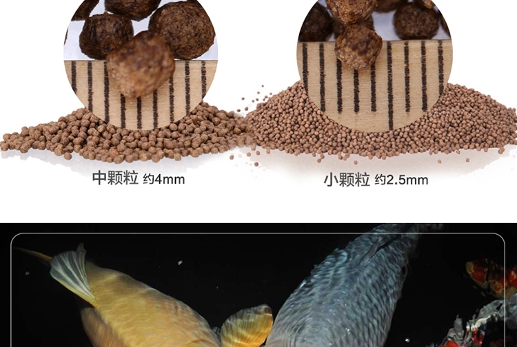 锦跃锦鲤饲料鱼食锦鲤鱼饲料色扬螺旋藻金鱼饲料金鱼鱼食锦鲤鱼食