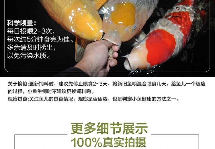 锦跃锦鲤饲料鱼食锦鲤鱼饲料色扬螺旋藻金鱼饲料金鱼鱼食锦鲤鱼食