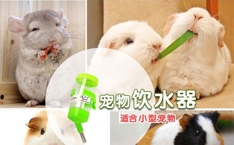 Marsa玛莎饮水器仓鼠龙猫天竺鼠兔钢珠水壶