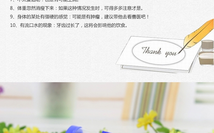 Marsa玛莎饮水器仓鼠龙猫天竺鼠兔钢珠水壶