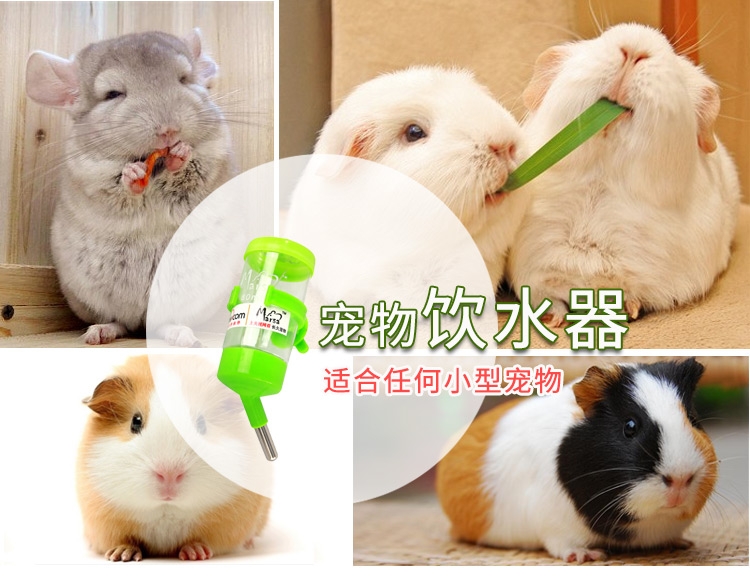 Marsa玛莎饮水器仓鼠龙猫天竺鼠兔钢珠水壶
