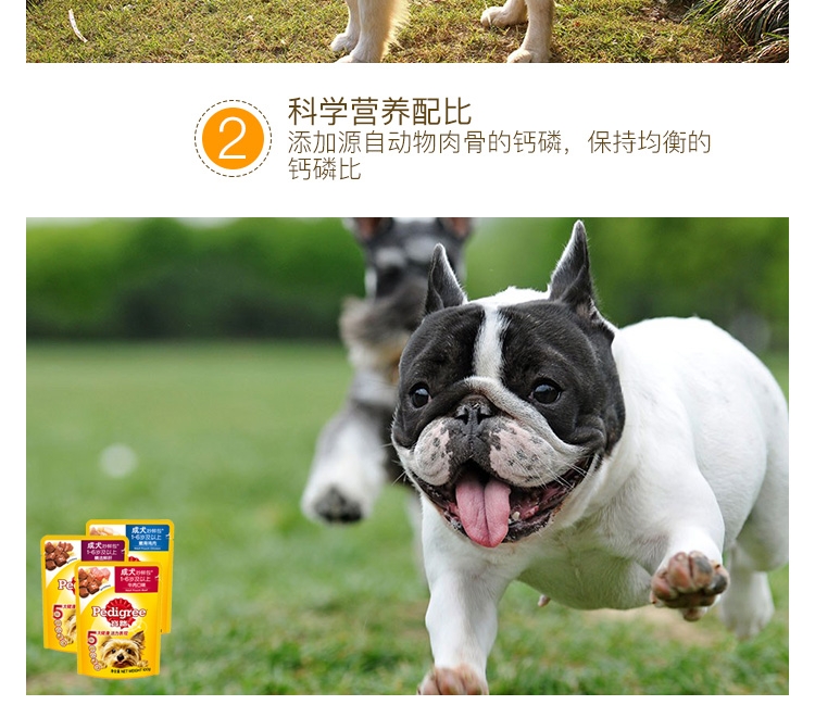 宝路 成犬精选牛肉妙鲜包100g*12包 狗湿粮