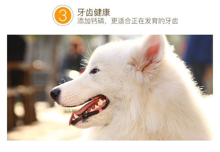 宝路 成犬精选牛肉妙鲜包100g*12包 狗湿粮