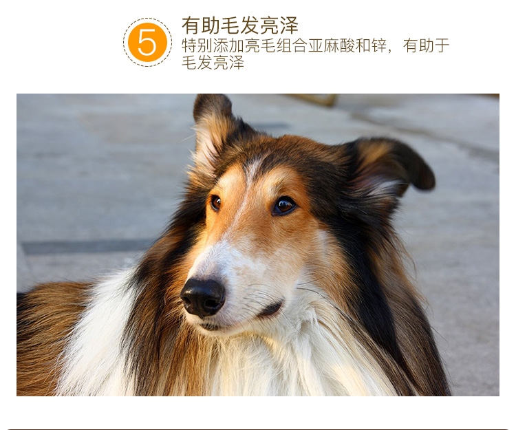 宝路 成犬精选牛肉妙鲜包100g*12包 狗湿粮