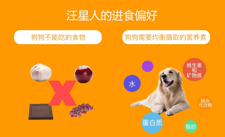宝路 成犬精选牛肉妙鲜包100g*12包 狗湿粮