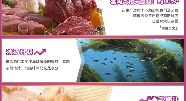 伟嘉 幼猫海洋鱼妙鲜包85g*12包 猫湿粮