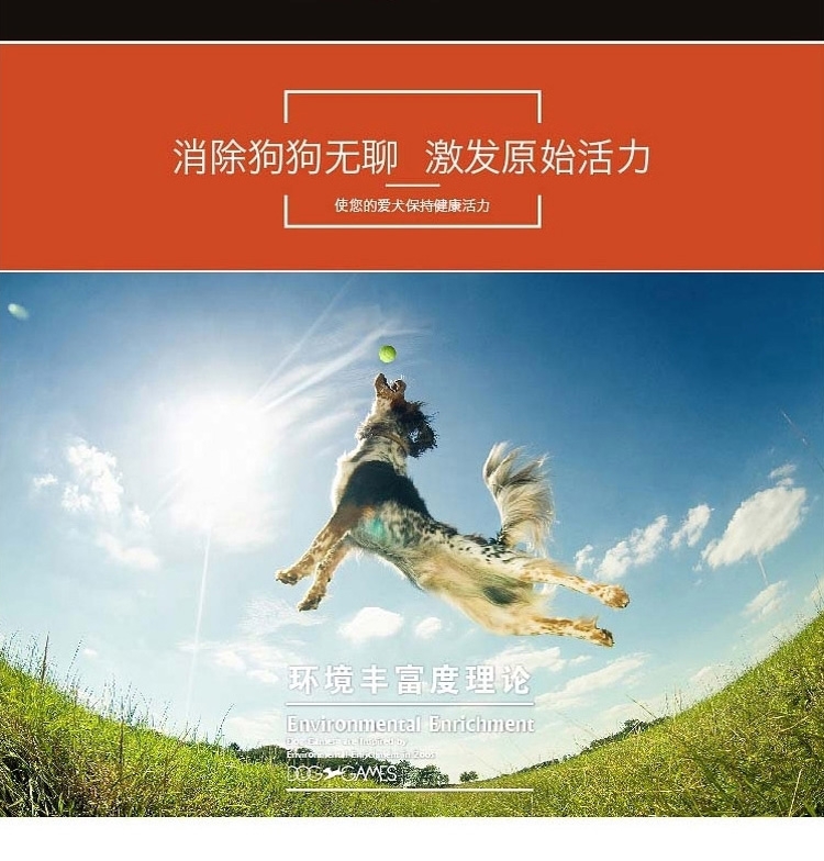 酷极Kyjen 小号版巨爪抓子翻板益智玩具 狗狗玩具