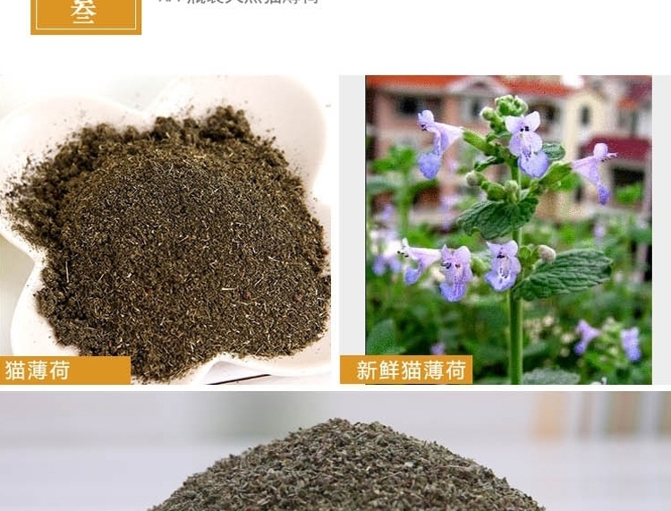AFP 天然猫薄荷瓶装 25g*3 去毛球猫零食
