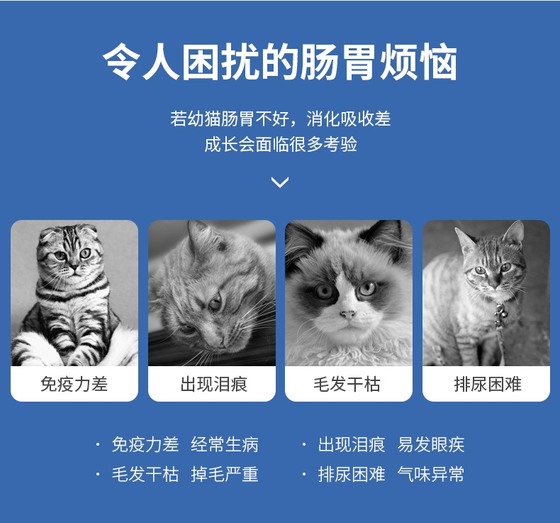 佩玛思特 幼猫及怀孕母猫专用猫粮2kg