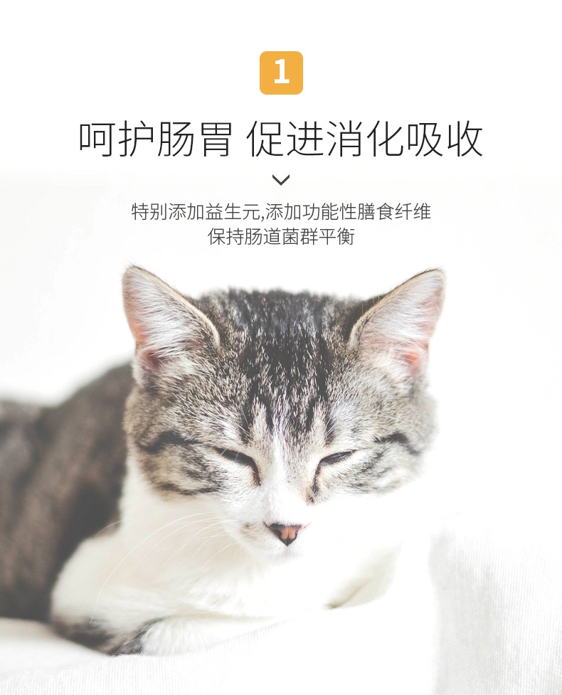 佩玛思特 幼猫及怀孕母猫专用猫粮2kg