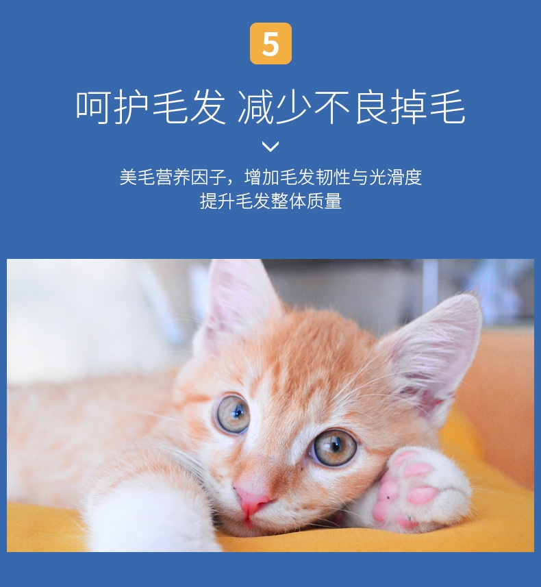 佩玛思特 幼猫及怀孕母猫专用猫粮2kg