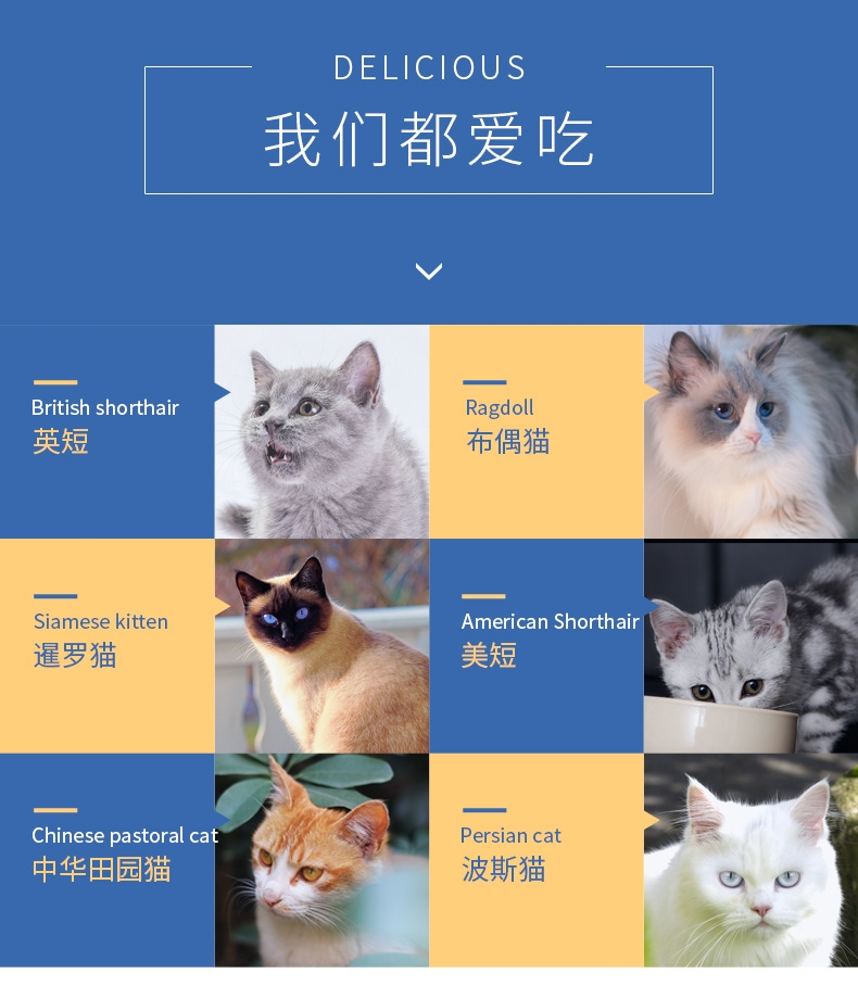 佩玛思特 幼猫及怀孕母猫专用猫粮2kg