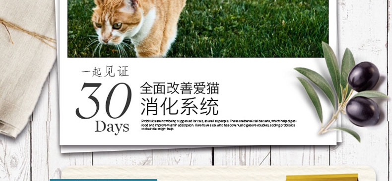 佩玛思特 成猫粮专业去毛球配方猫粮2kg 进口猫粮