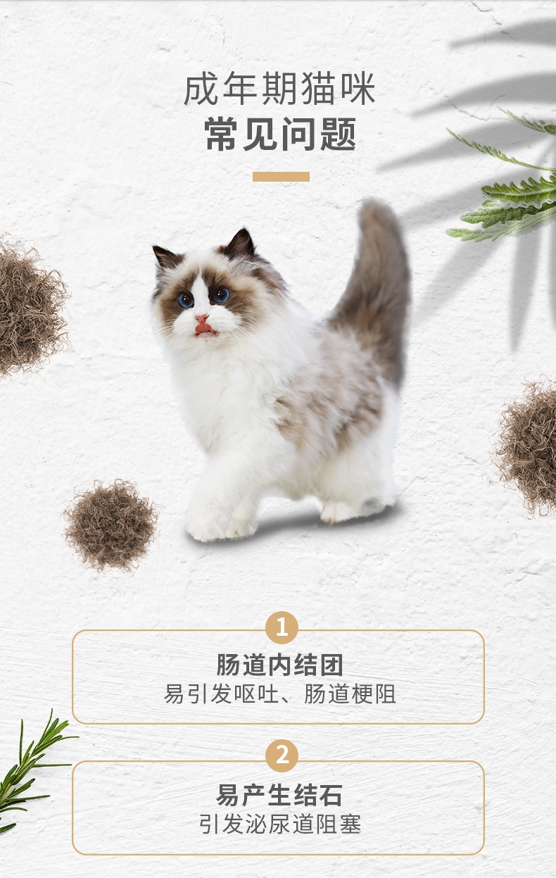 佩玛思特 去毛球成猫粮 2kg 35%粗蛋白质