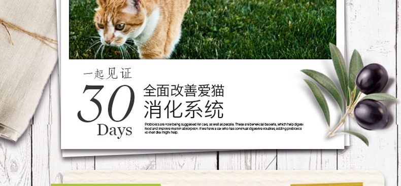 佩玛思特 成猫粮美毛理想体态猫粮2kg 原料进口猫粮