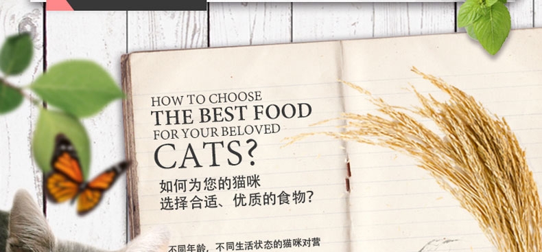 佩玛思特 成猫粮美毛理想体态猫粮2kg 原料进口猫粮