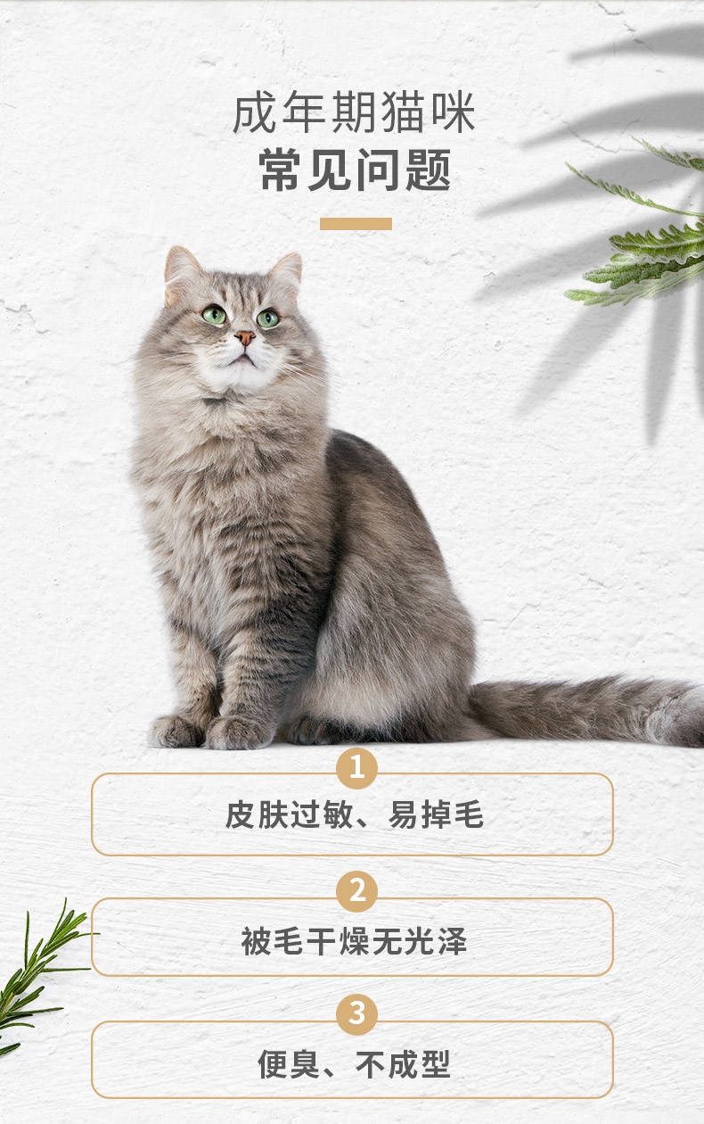 佩玛思特 美毛理想体态成猫粮 2kg 33%粗蛋白质
