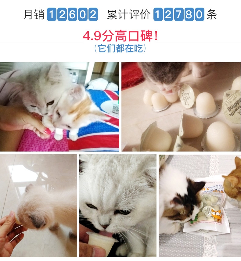 BOTH 幼猫山羊奶果冻布丁16g*15粒 猫零食