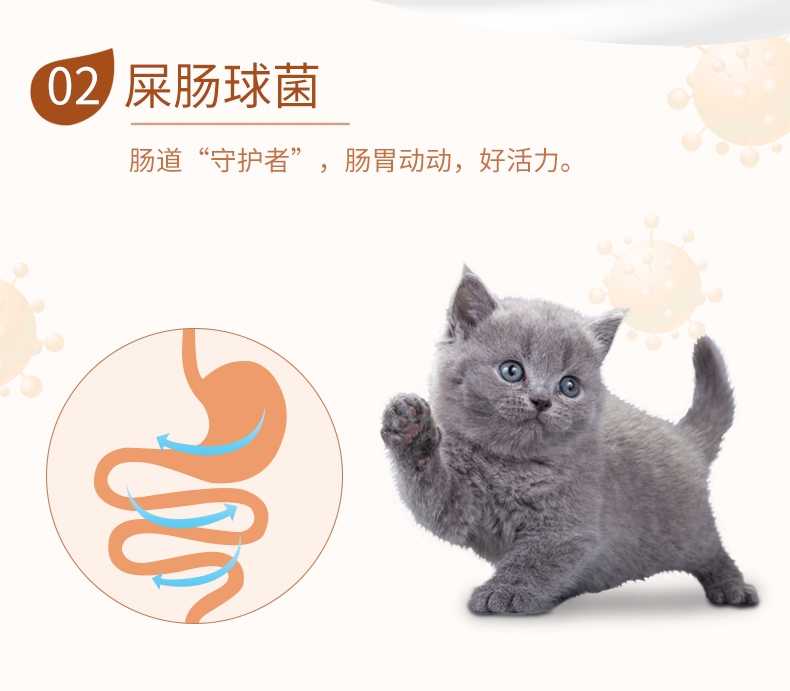 BOTH 幼猫山羊奶果冻布丁猫零食 15g*15粒