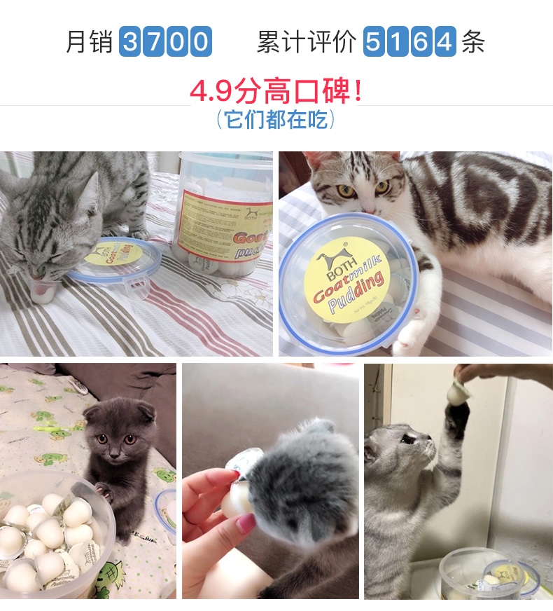 BOTH 幼猫山羊奶果冻布丁16g*50粒桶装 猫零食