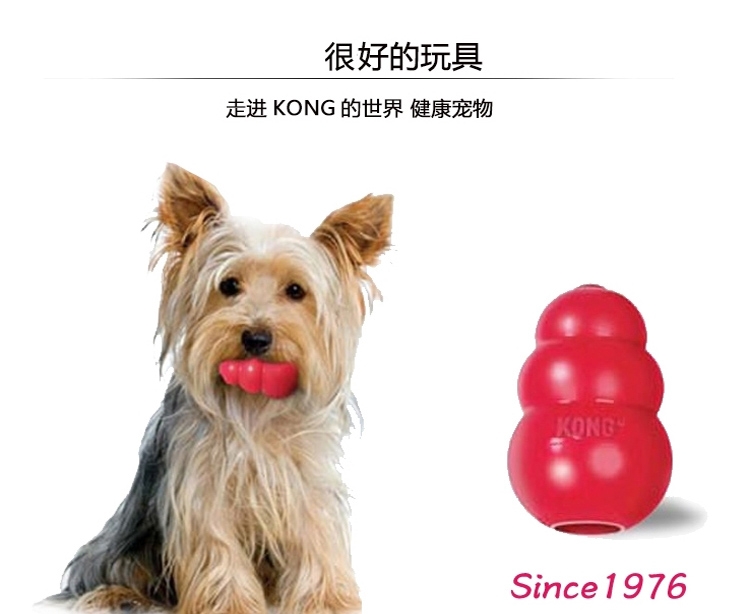 美国KONG 天然橡胶耐咬漏食葫芦 多款可选 狗玩具